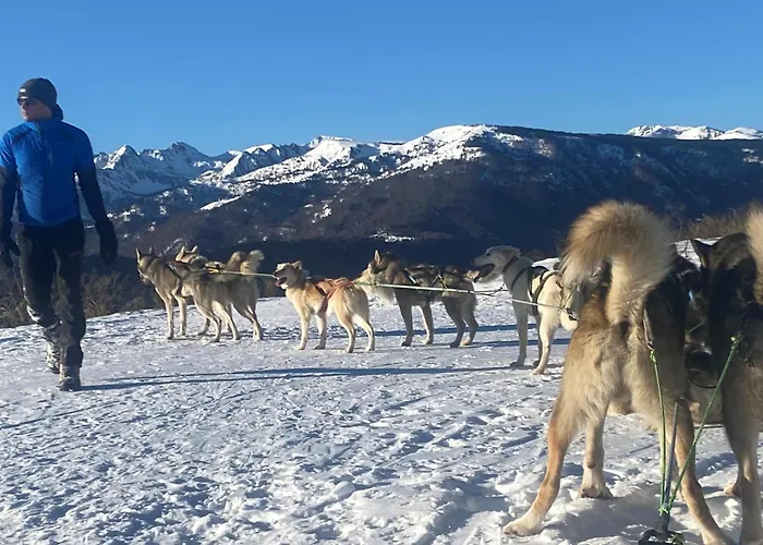 La Marmotte Kamp alanı 4*