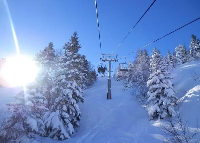 La Marmotte Kamp alanı